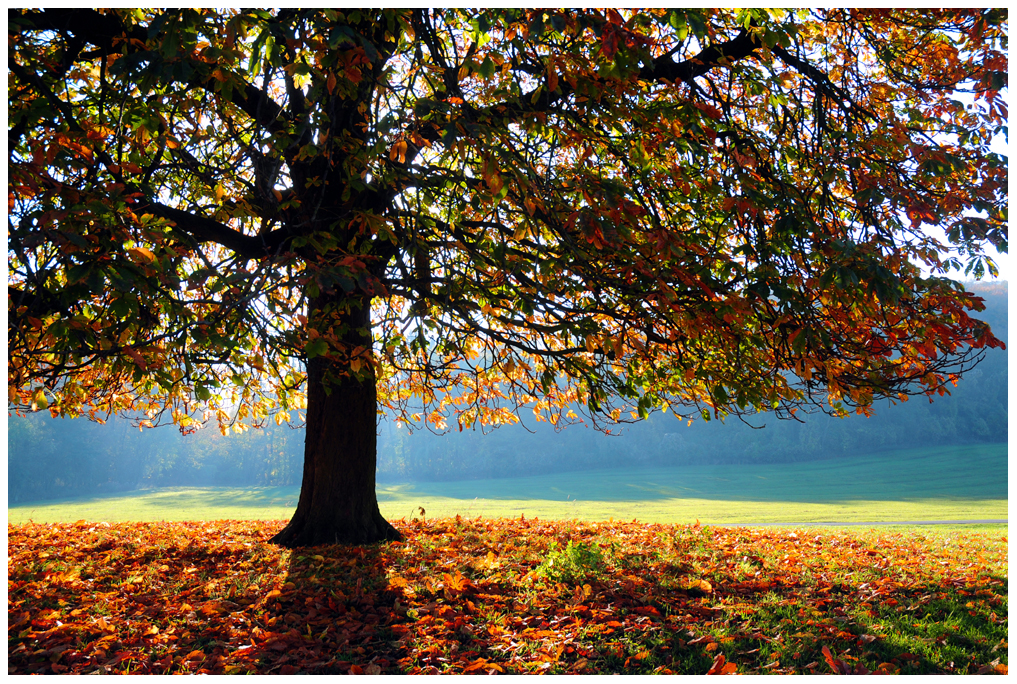 Herbstzauber