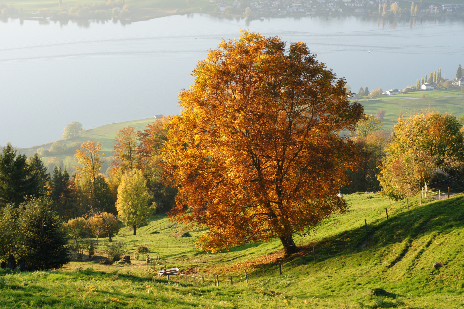 Herbstzauber