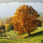 Herbstzauber