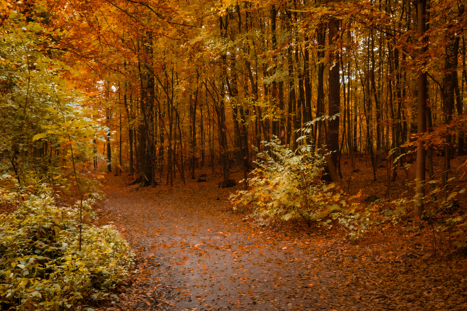 Herbstzauber