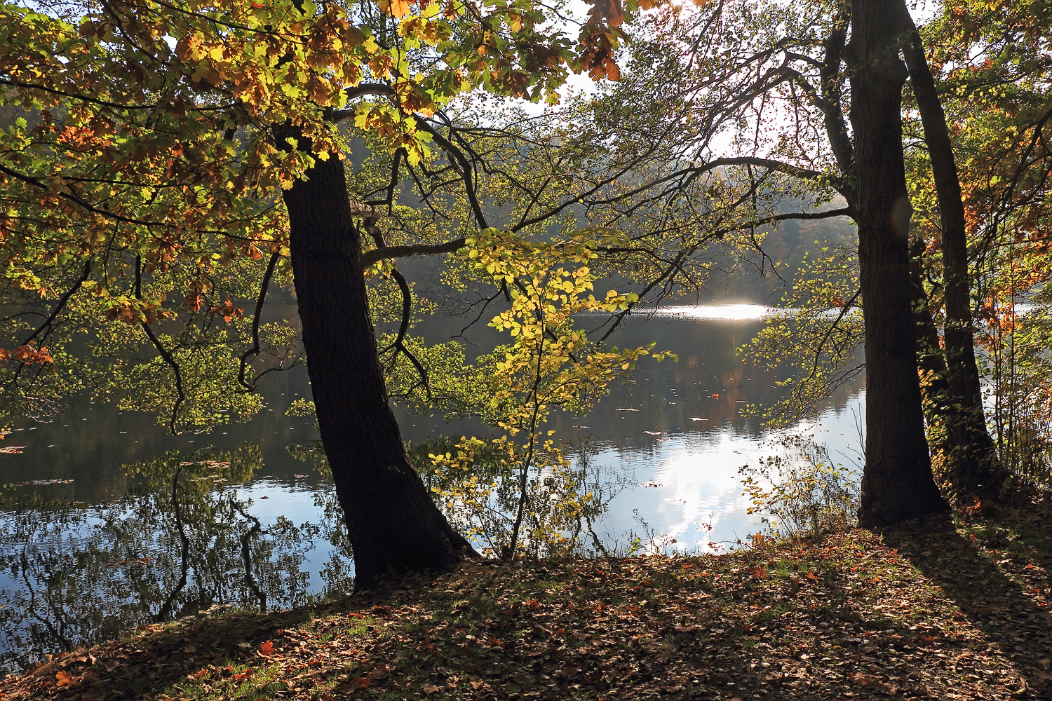 Herbstzauber