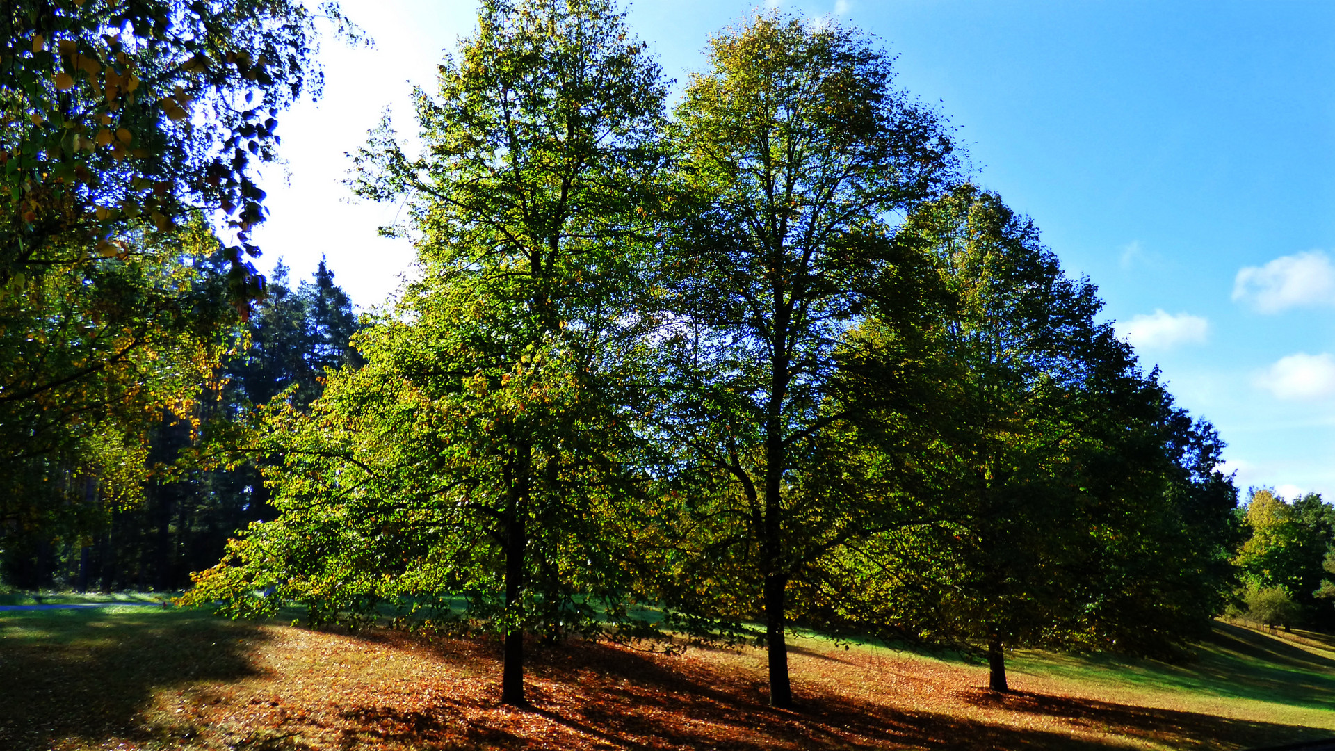 Herbstzauber 