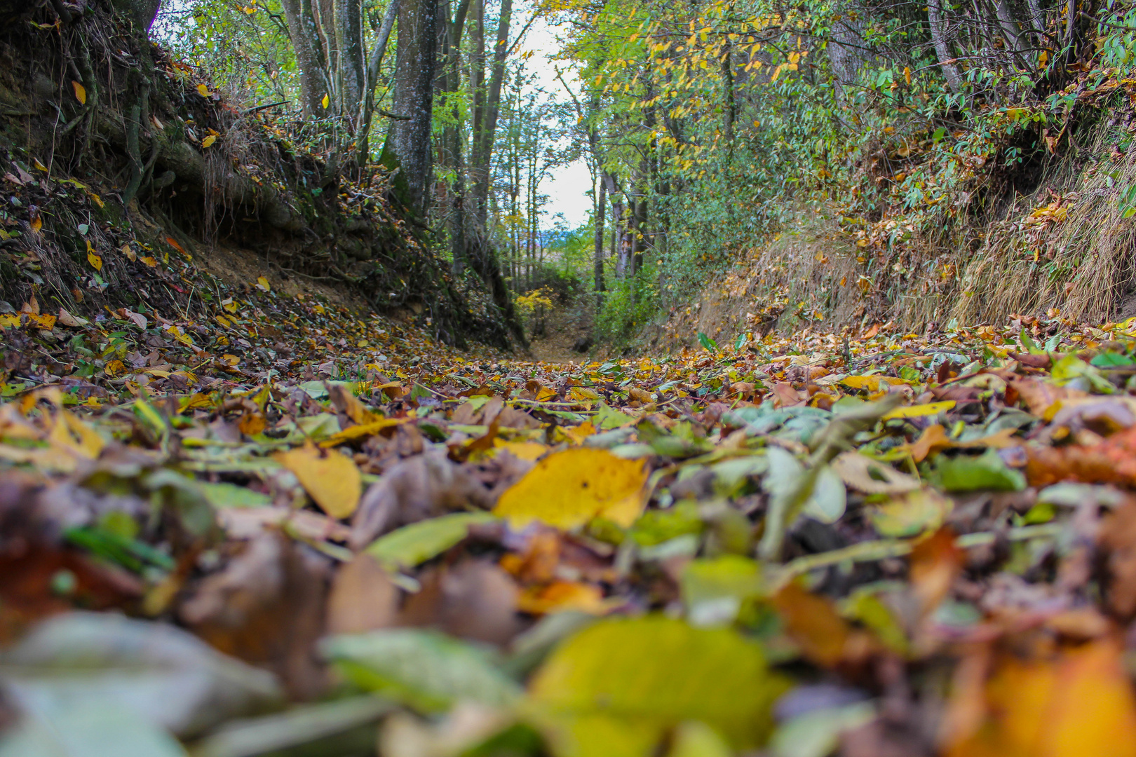 Herbstzauber