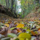 Herbstzauber