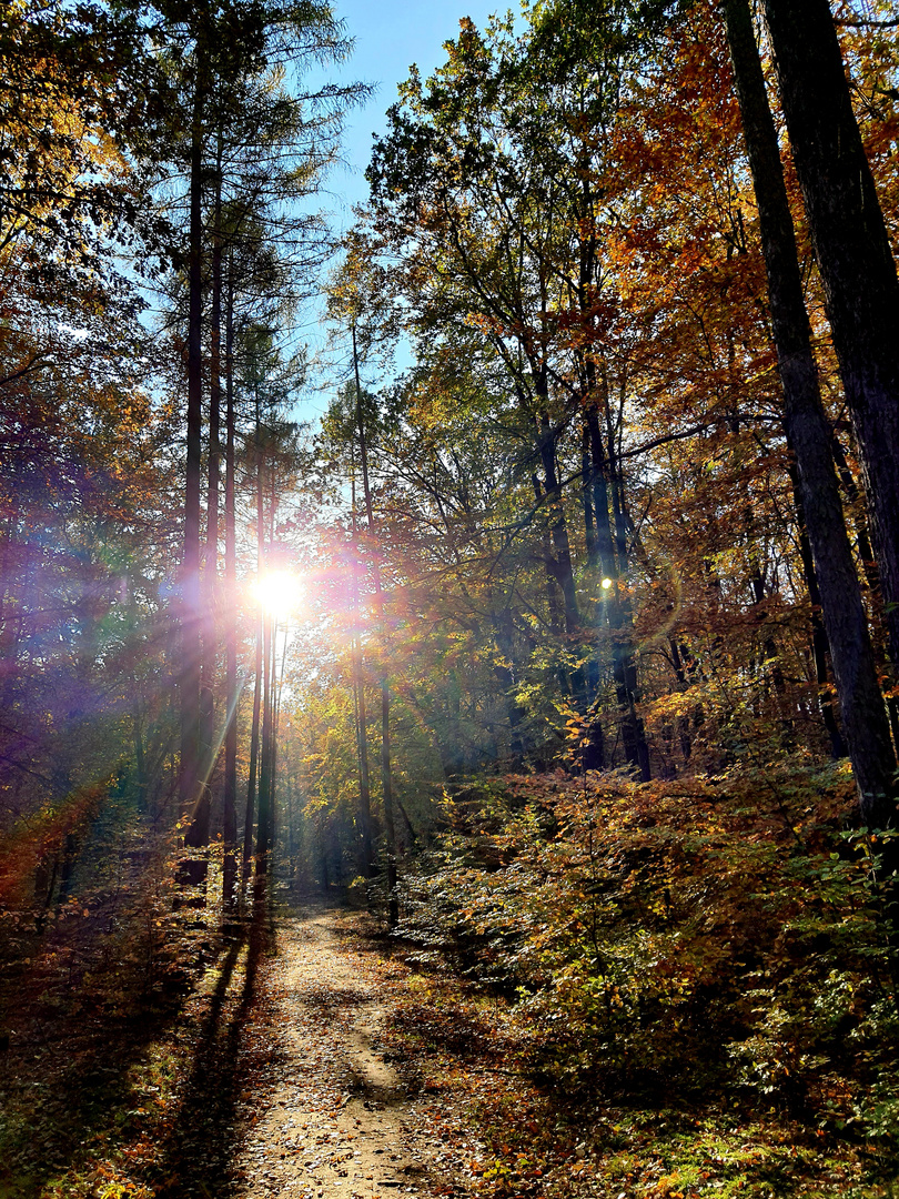 Herbstzauber