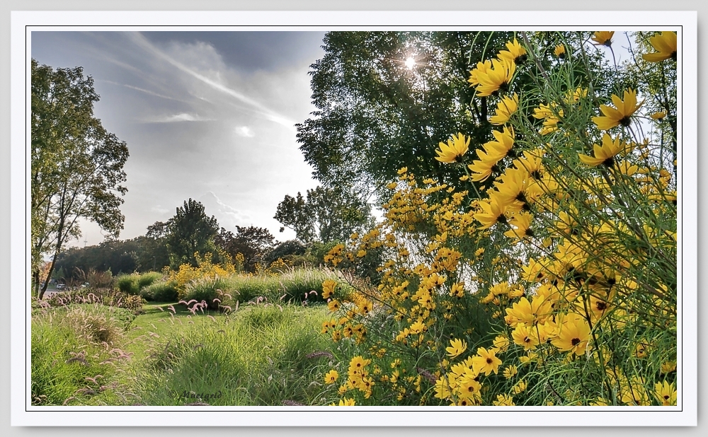 ~ Herbstzauber ~