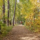 Herbstzauber 