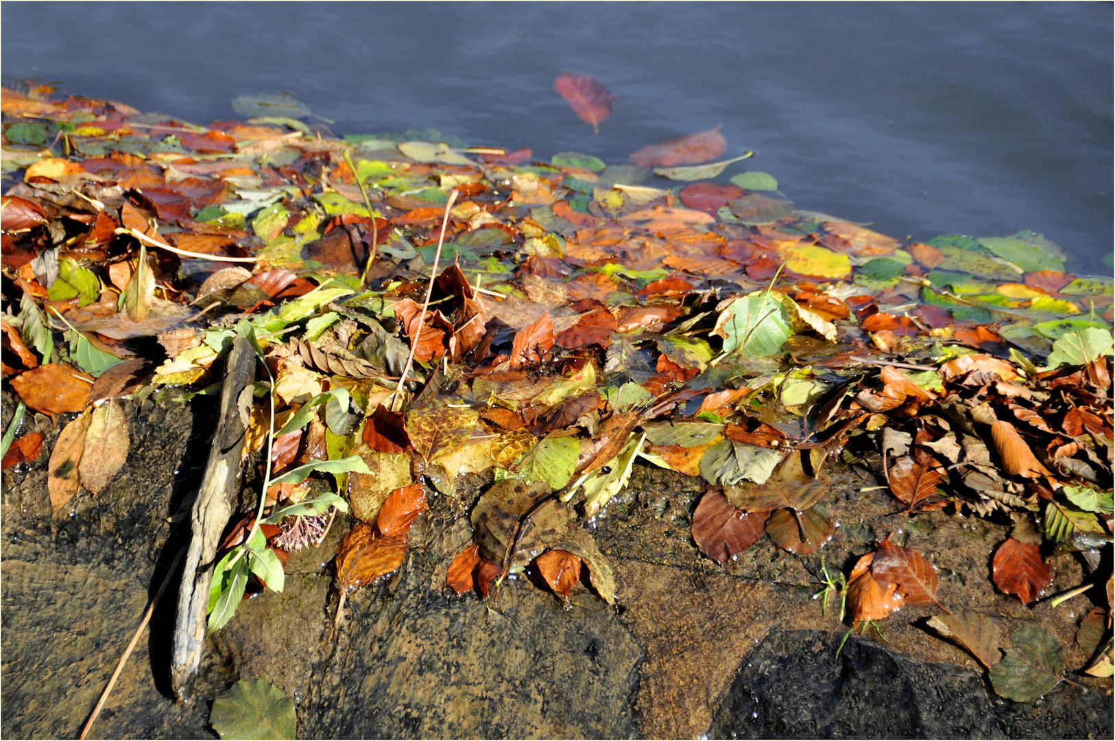 Herbstzauber...