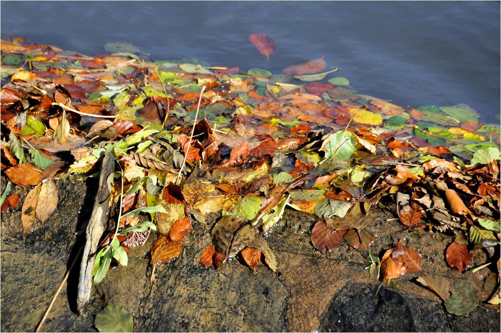 Herbstzauber...