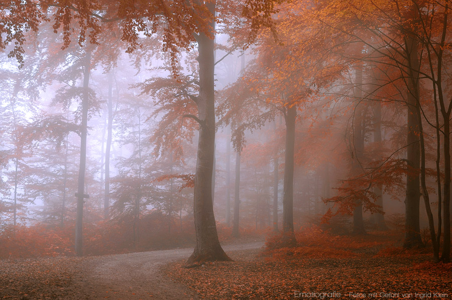 Herbstzauber