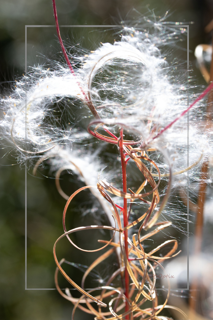 Herbstzauber