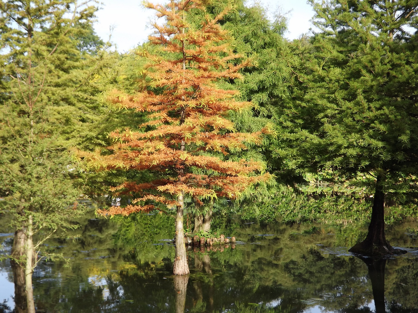 Herbstzauber