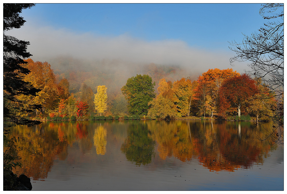 Herbstzauber von Andreas Ha. 