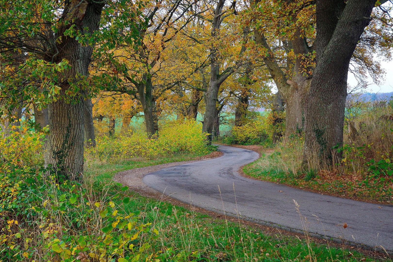 Herbstzauber