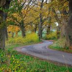 Herbstzauber