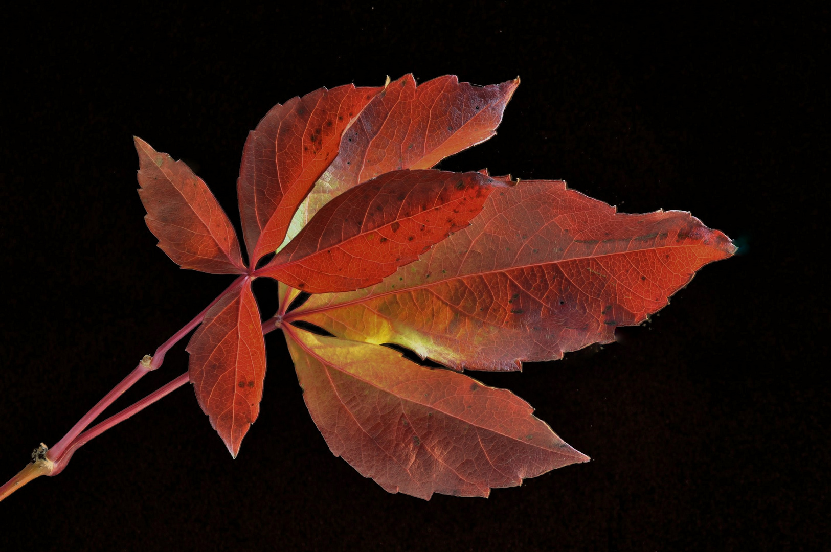 Herbstzauber