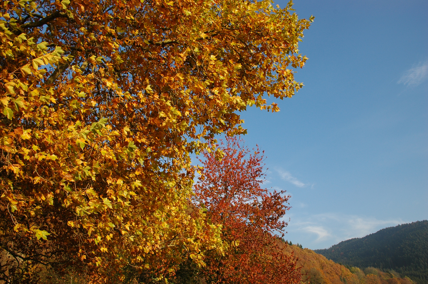 Herbstzauber