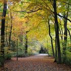 Herbstzauber