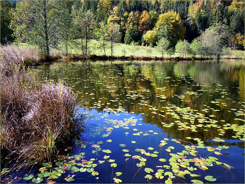 Herbstzauber