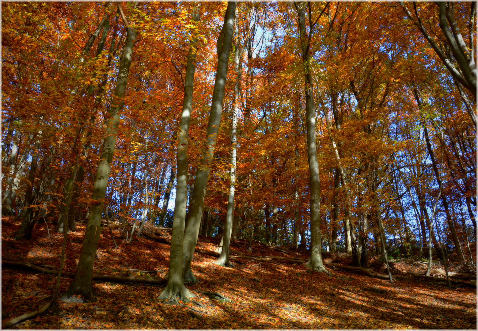 ** Herbstzauber **