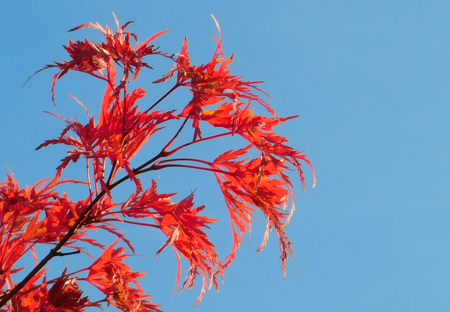 Herbstzauber