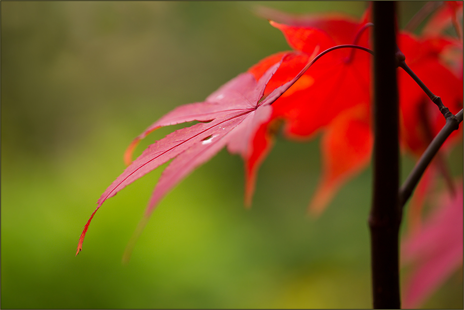 Herbstzauber