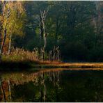 Herbstzauber / Fascination autumn (14)