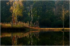 Herbstzauber / Fascination autumn (14)