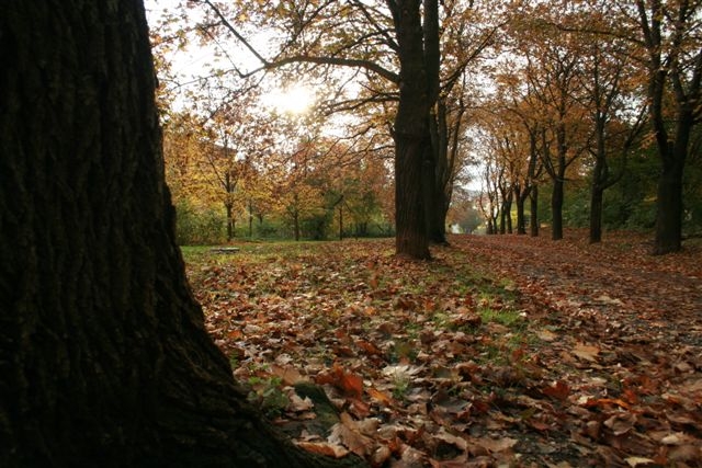 Herbstzauber