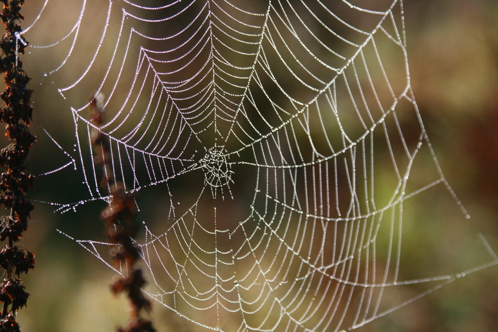 Herbstzauber