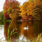 Herbstzauber im Jrönen Meerken in Neuss