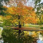 Herbstzauber im Kurpark