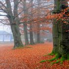 Herbstzauber im Kurpark Tabarz/Thüringen