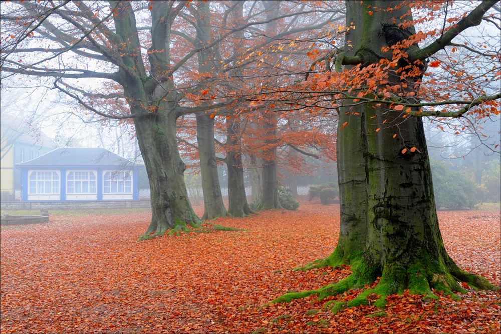 Herbstzauber im Kurpark Tabarz/Thüringen