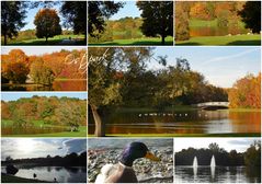 Herbstzauber im Ostpark