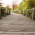 Herbstzauber im Stadtpark