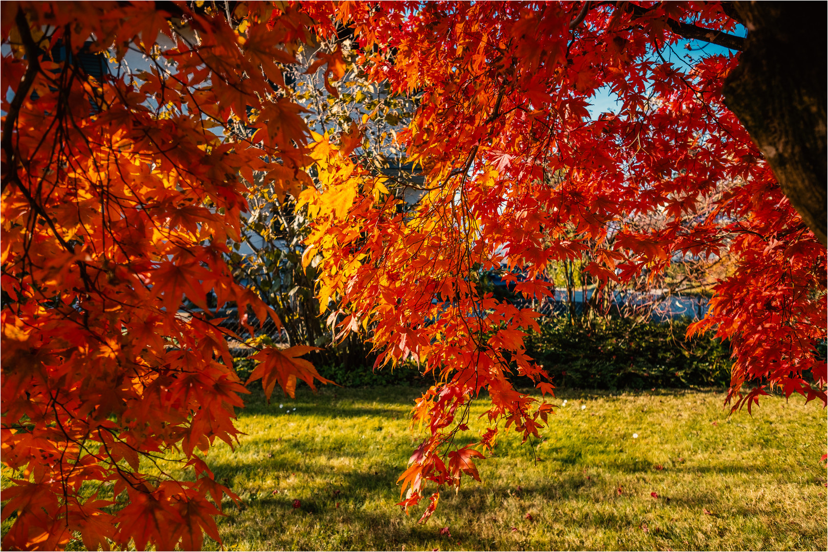 Herbstzauber in unserem Garten