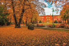 Herbstzauber in Wittenau