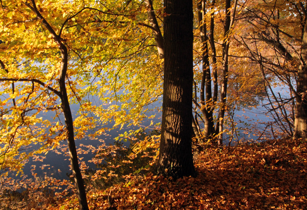 Herbstzauber2013