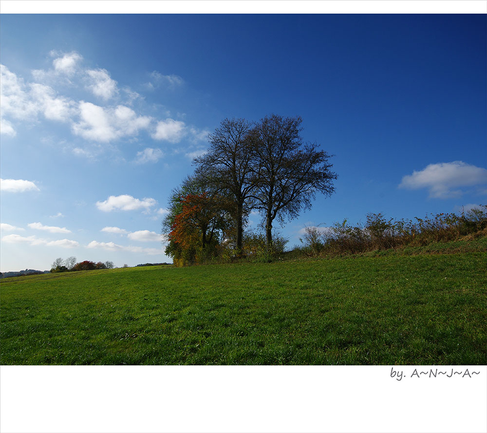 * Herbstzauber...I*