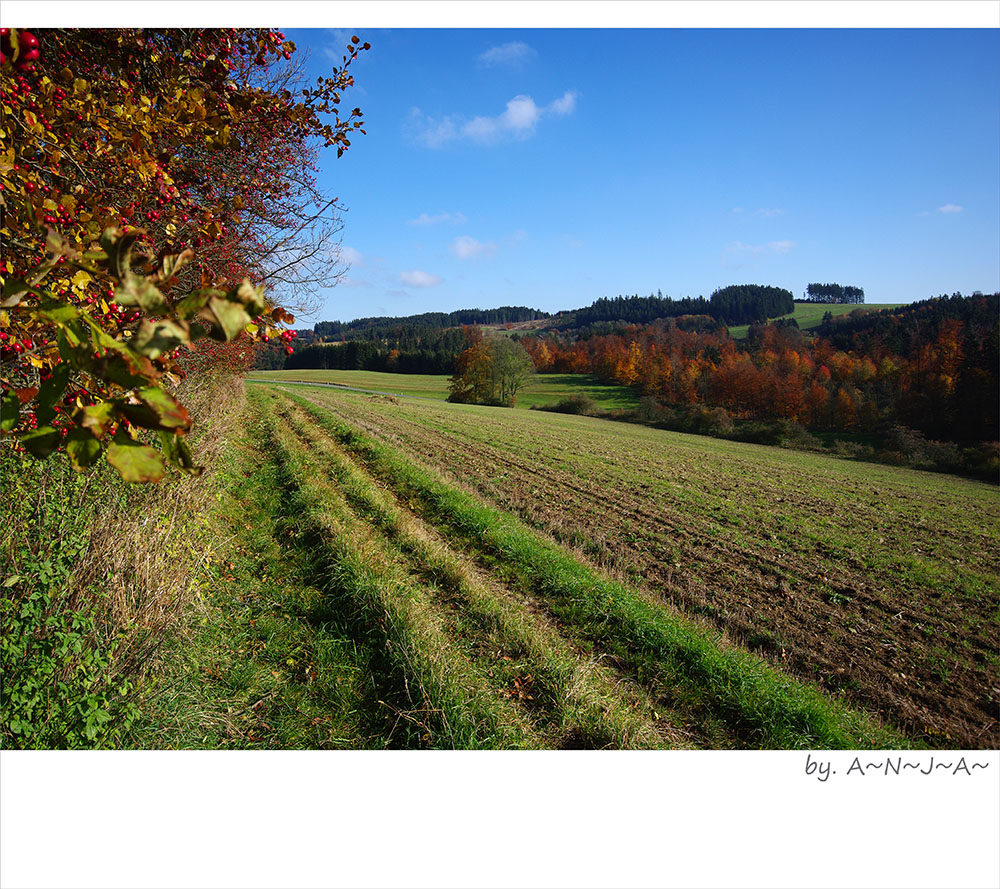 * Herbstzauber...II*