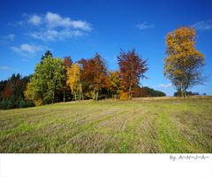 * Herbstzauber...III *