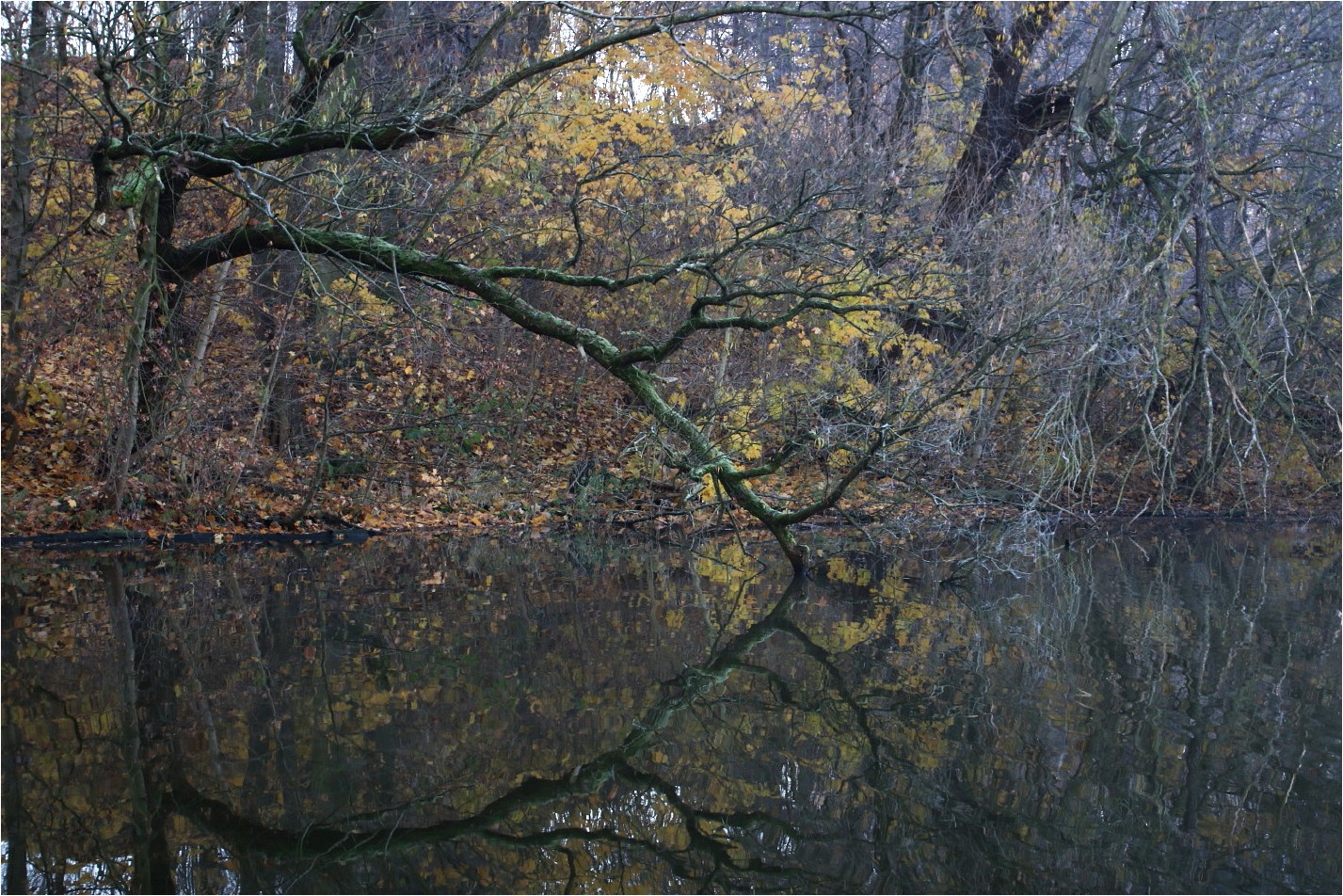 Herbstzauberland