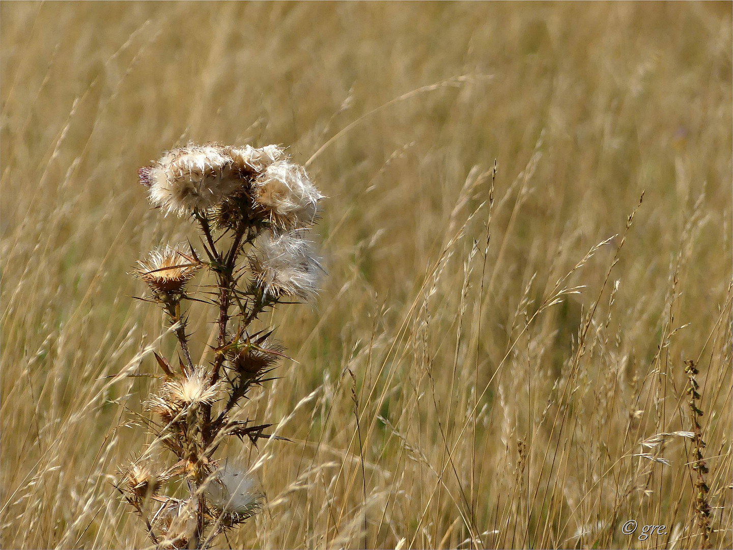 Herbstzeichen***