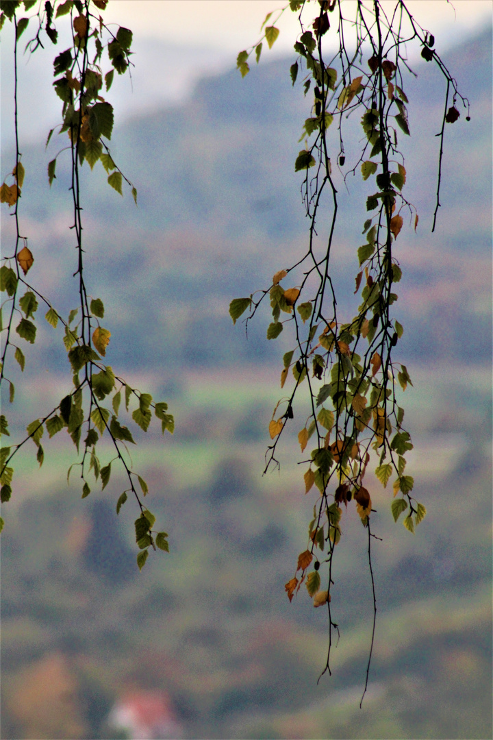 Herbstzeichen