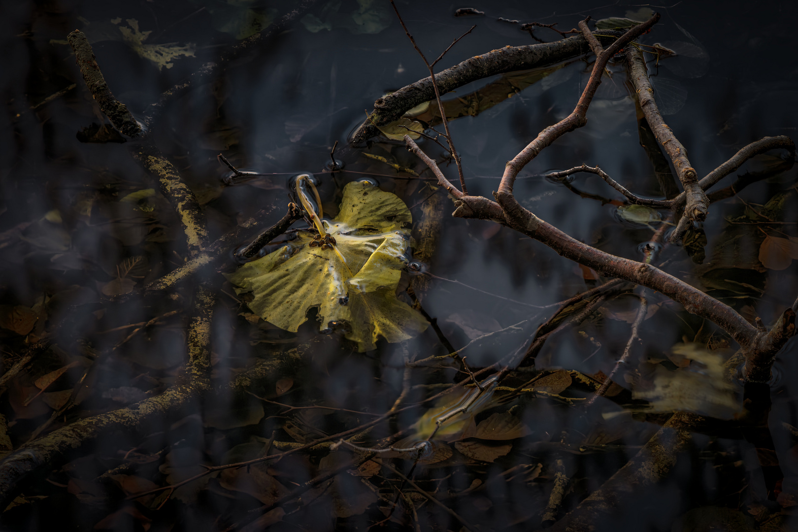 Herbstzeichen