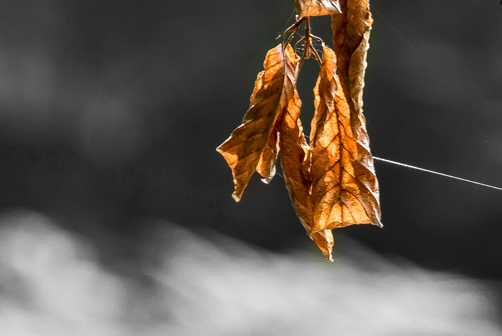 Herbstzeichen...