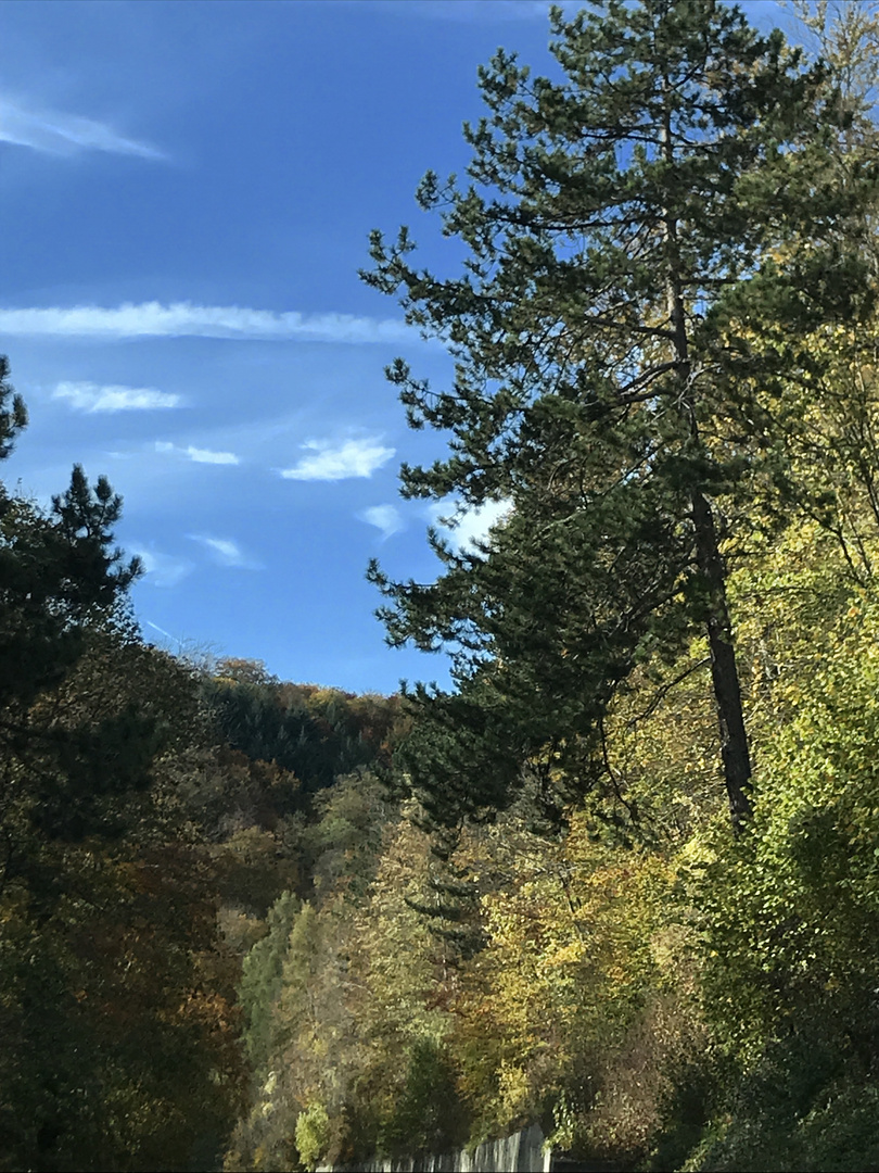 Herbstzeichen in der Natur 