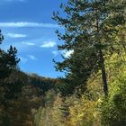 Herbstzeichen in der Natur 