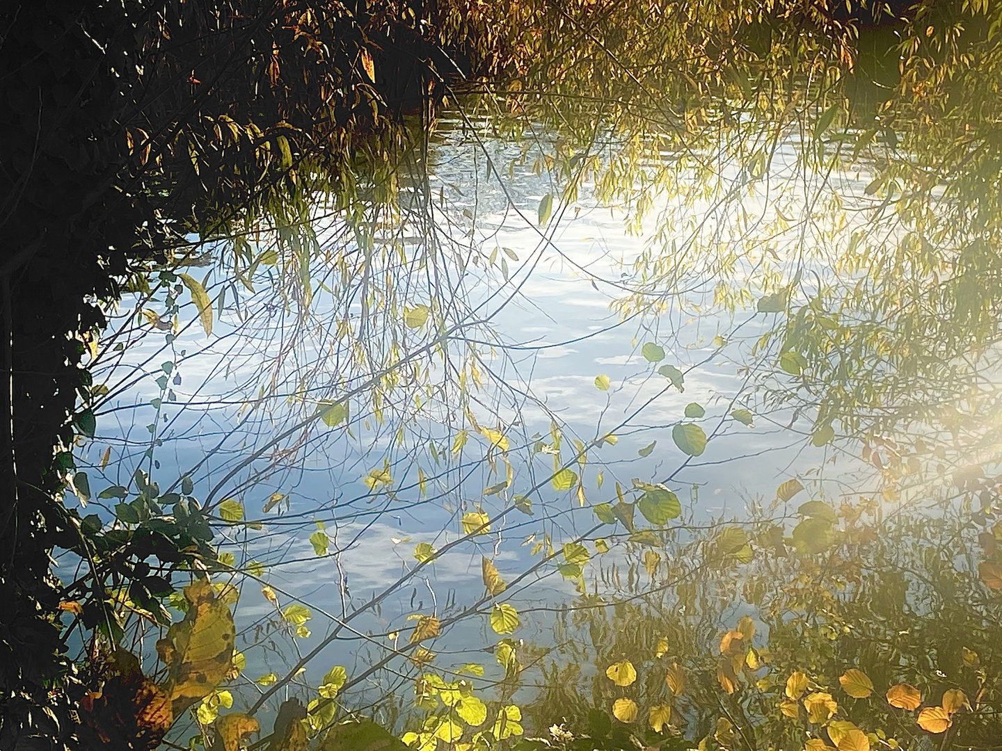 Herbstzeichen sanft und zart 